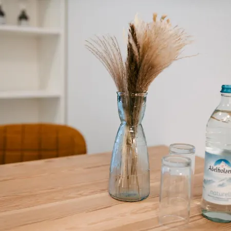 Apartment Zentrahome - Zentral Business Outlet Smarttv Balkon *